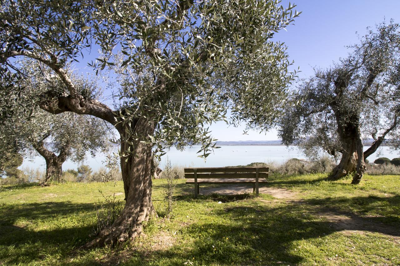 לינה וארוחת בוקר מונטה סן סאבינו Baldovino Di Monte מראה חיצוני תמונה