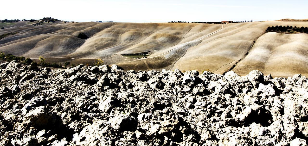 לינה וארוחת בוקר מונטה סן סאבינו Baldovino Di Monte מראה חיצוני תמונה